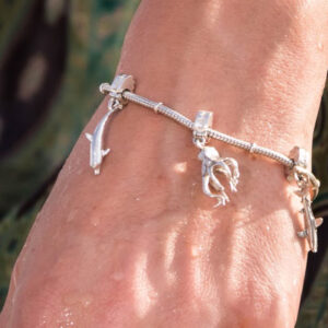 Delfín Charm